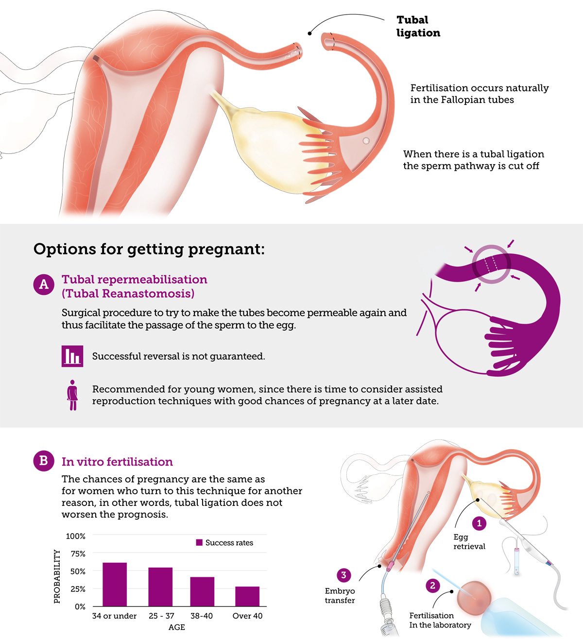 infographic about the chances of getting pregnant during folopian tube sterilization